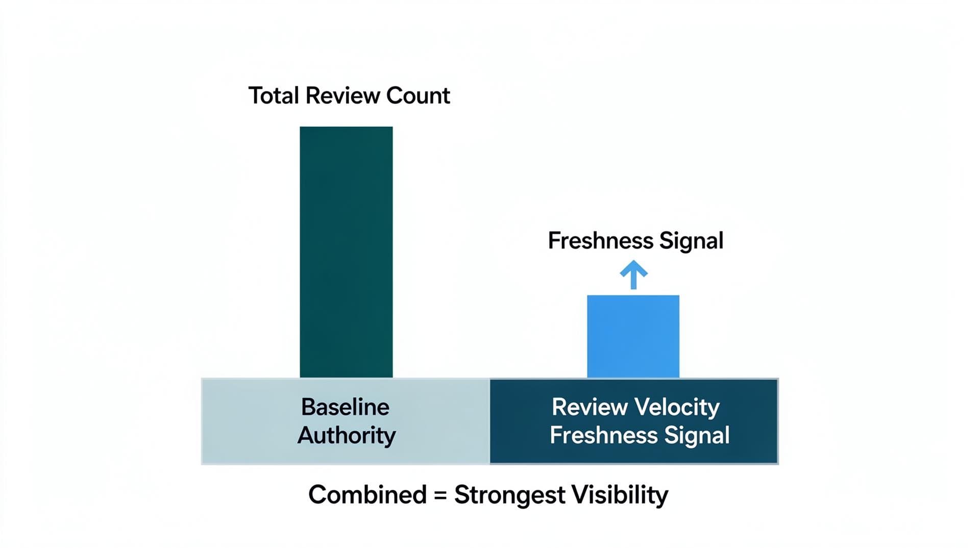 Review Velocity vs Total Review Count — Which Matters More for Google Maps?